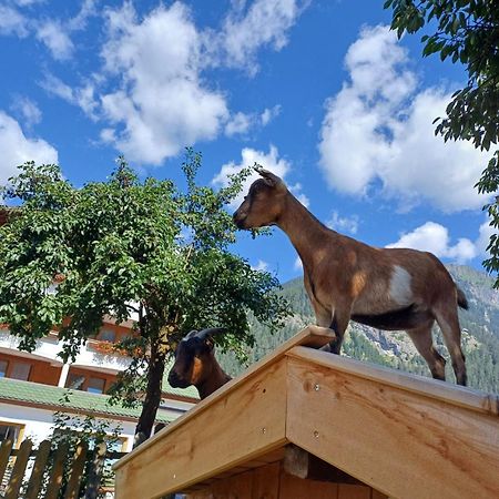 Ferienhof Schoene Aussicht Pfunds Εξωτερικό φωτογραφία